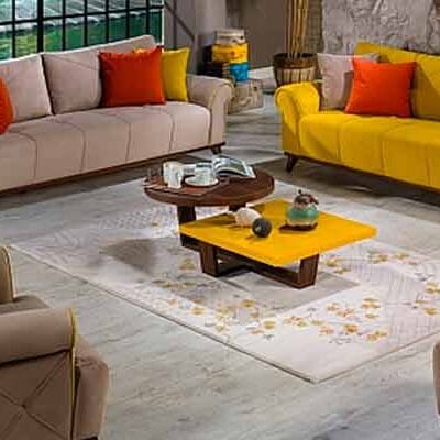 Antalya İkinci el Koltuk Alan Yer